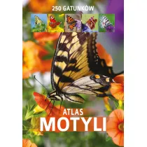 Atlas motyli