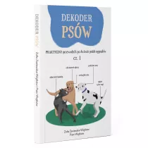 Dekoder psw
