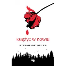 Ksiyc w nowiu