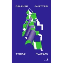 Tysi�c Plateau