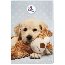 Beniamin Notes A6 30 kartek z poddrukiem Sweet Pets