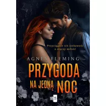 Przygoda na jedn� noc