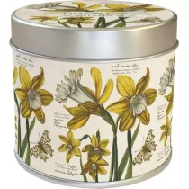 Skona Ting Zapachowa �wieczka 236 �onkile - zapach cytrynowy 205 g