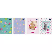 Interdruk Dzienniczek ucznia Girls 16 kartek