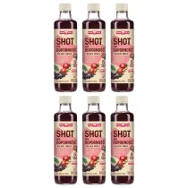 Polska Ra Shot na odporno polskie owoce zestaw 6 x 250 ml