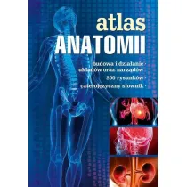 Atlas anatomii