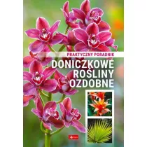 Doniczkowe roliny ozdobne. Poradnik praktyczny