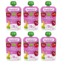 Smileat Mus z ekologicznymi malinami i jogurtem po 9 miesi�cu Zestaw 6 x 100 g Bio