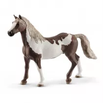 Ko Paint Gelding