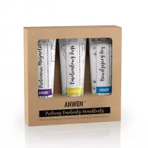 Anwen Zestaw odywek do wosw rednioporowatych 3 x 100 ml