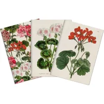 Skona Ting Stone 501 Zestaw 3 notatnik�w A6 - pelargonia