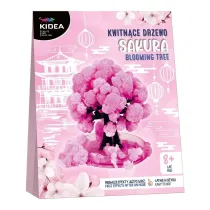 Kwitnce drzewo sakura KIDEA