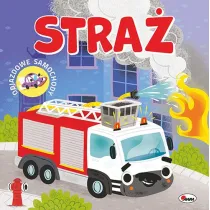 KSIAZECZKA 150X150 OPR TW STRAZ AWM
