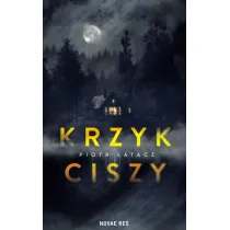 Krzyk ciszy