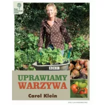 Titanum Kredki o��wkowe "Kameleon" ze�ciok�tne 12 szt.