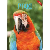 Ptaki Fakty