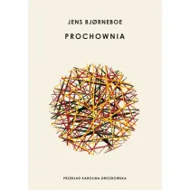 Prochownia