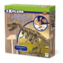 May archeolog Wykopaliska T-Rex Ses Creative