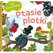 Ptasie plotki