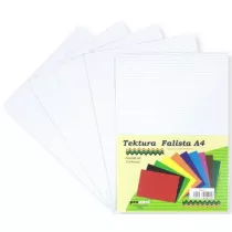 Penword Tektura A4 falista bia�a 5 szt.