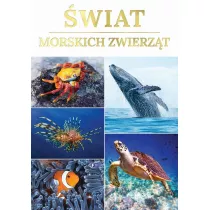 wiat morskich zwierzt