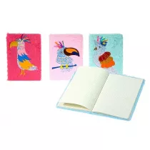 Adar Notes 580237