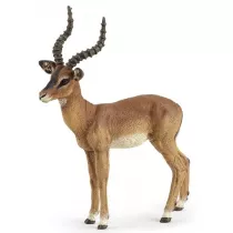 Impala