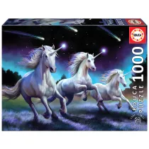 Puzzle 1000 el. Spadaj�ce gwiazdy, Anne Stokes Educa