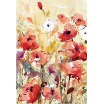 DaVinci Karnet B-BJ 202 385 + koperta Maki 12x18 cm