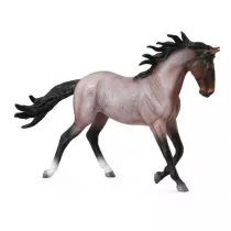 Klacz Mustang maci Bay Roan