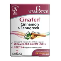 Vitabiotics Cinafen Cinnamon & Fenugreek cynamon z kozieradk� suplement diety 60 tab.