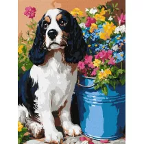 Ideyka Malowanie po numerach - Uroczy spaniel 30x40cm