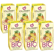 Hollinger Nektar wieloowocowo-marchwiowy Zestaw 6 x 200 ml Bio
