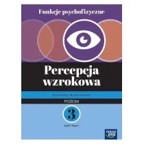 Funkcje psychofizyczne. Percepcja wzrokowa. Poziom 3. Karty pracy