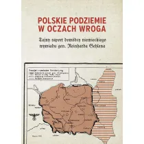Polskie podziemie w oczach wroga