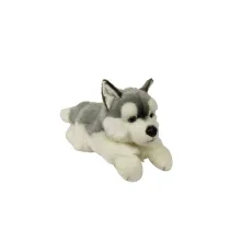 Pies Husky 61cm Dubi Plusz