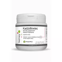 Kenay Kadzidowiec Casperome Indena Phytosome Suplement diety 300 kaps.