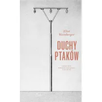 Duchy ptak�w