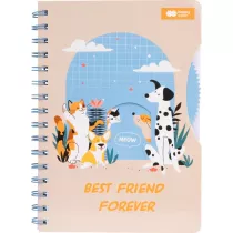 Notes A5 na spirali CAT&DOG z okienkiem 80 ark. Happy Color