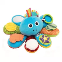 Aktywna omiorniczka Tomy