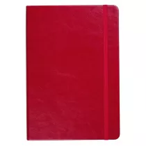 Antra Notes A5 Formalizm linia