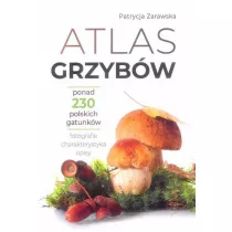 Atlas grzybw