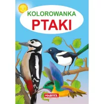 Kolorowanka Ptaki