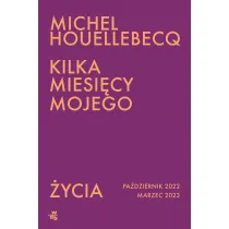 Kilka miesi�cy mojego �ycia