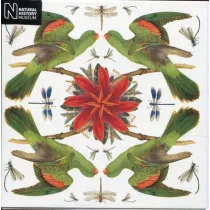 Museums & Galleries Karnet kwadrat z kopert� Red-winged Parrot