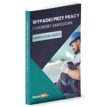 Wypadki przy pracy i choroby zawodowe