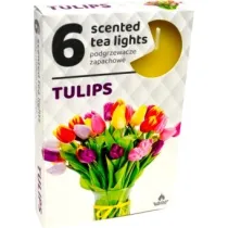 Admit Podgrzewacze Tulipany / Tulips 6 szt.
