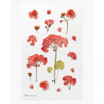 Appree Naklejki ozdobne kwiaty Geranium