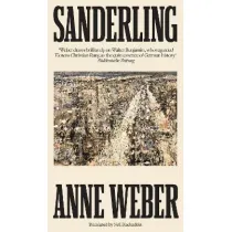 Sanderling wer. angielska