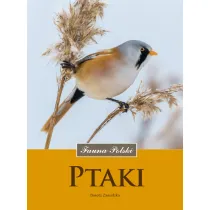 Ptaki. Fauna Polski
